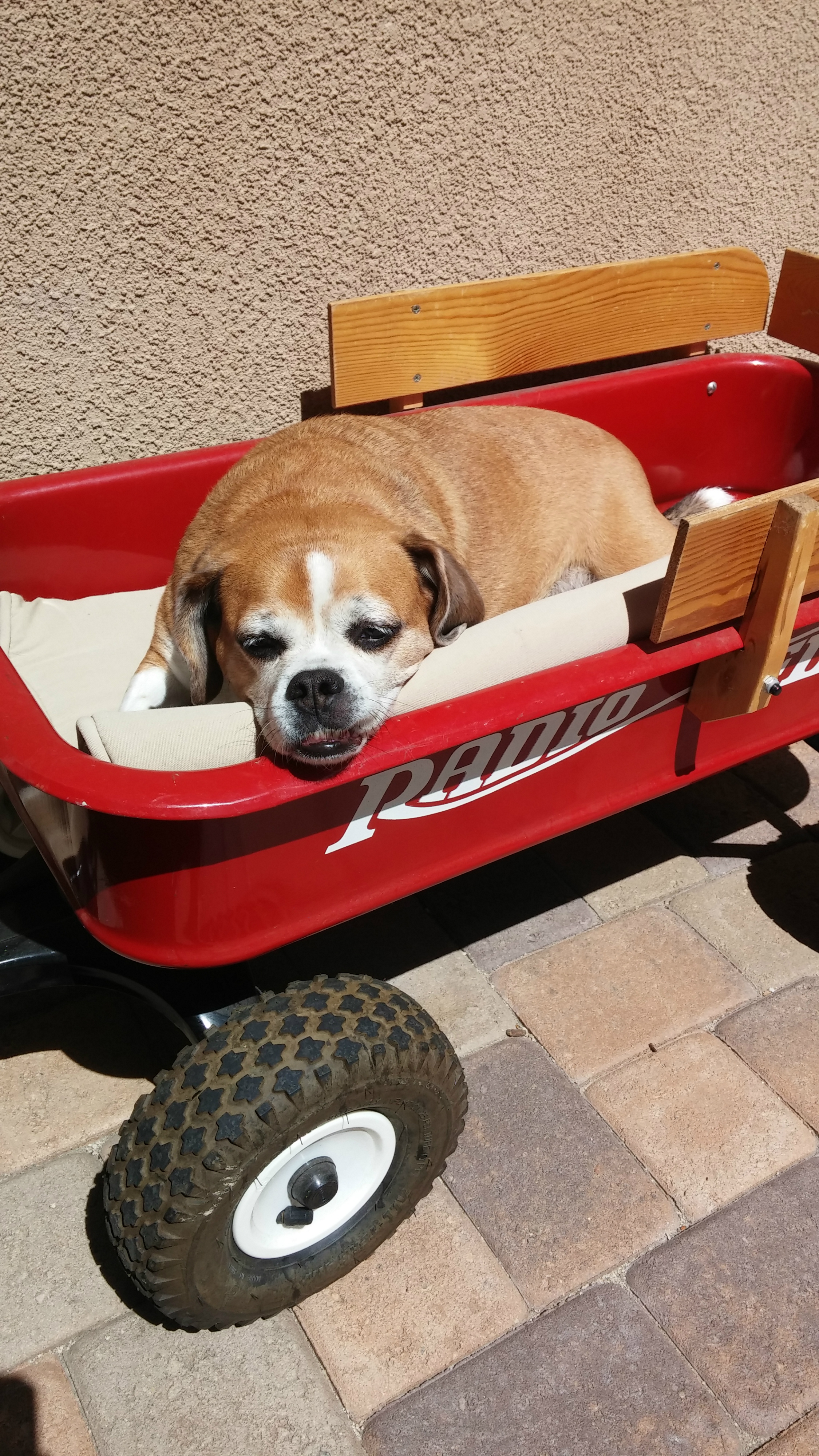Patches in a wagon